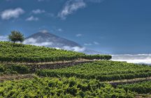 Mojo workshop with wine tasting, lunch or child options in Sauzal
