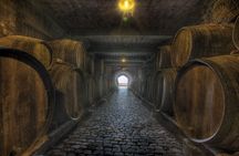 Mojo workshop with wine tasting, lunch or child options in Sauzal