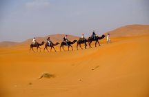 Dubai 4x4 Desert Safari with activities and BBQ dinner