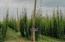 Full day Niagara craft beer experience departing from Niagara Falls