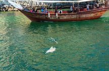 Morning dolphin cruise in Muscat