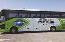 Half-day or full-day Muscat tour with a private vehicle