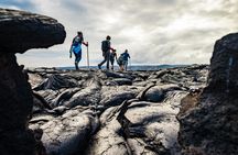 Hiking tour of Hawaii Volcanoes National Park