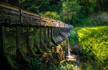 Adventure tour of Kohala waterfalls
