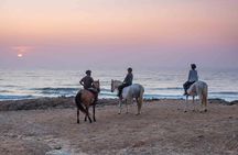Sunset Bordeira beach horse riding guided tour