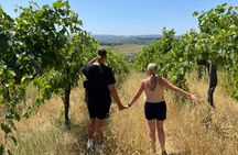 Chianti panoramic tuk-tuk tour with lunch