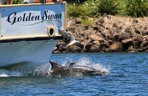 Tweed River and rainforest lunch cruise