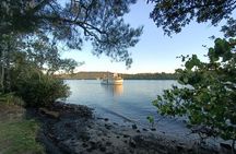 Tweed River and rainforest lunch cruise