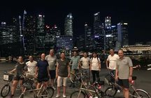 Marina Bay night tour
