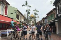 Historical Singapore bicycle tour