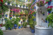 Guided tour of Cordoba's UNESCO Heritage Patios