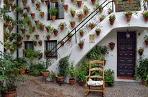 Guided tour of Cordoba's UNESCO Heritage Patios