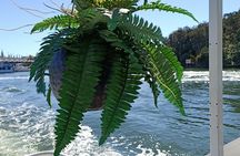 Tweed River sunset cruise