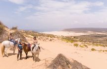 Discover Carrapateira horse riding tour