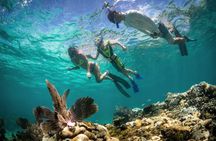 Florida Keys marine eco-adventure