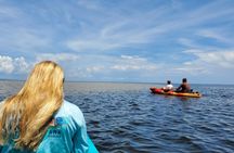 Full-day hiking and paddling tour in Everglades National Park