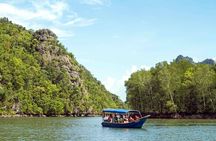 Langkawi mangrove river cruise half-day experience