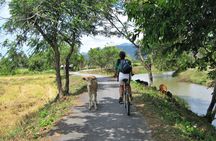 Evening cycling the Langkawi nature trails