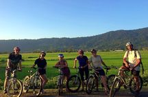 Evening cycling the Langkawi nature trails
