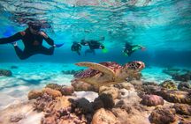 Half-day ocean safari Great Barrier Reef adventure