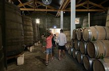 Full-day wine tour of Douro Valley