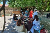 Full-day wine tour of Douro Valley