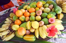 Praslin Island private full-day tour