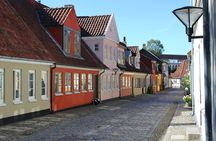 Odense private walking tour