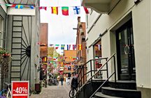 Odense private walking tour