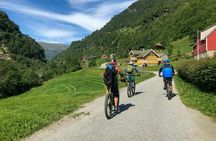 Voss mountain to fjord mountain bike tour