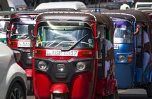 Kandy private day tour from Galle region