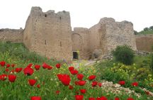 Eleusinian mysteries day tour with Nafplio, Epidaurus and Asclepius theatre