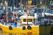Mirissa whale watching experience from Galle region