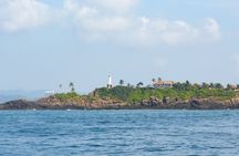 Mirissa whale watching from Negombo Region