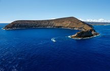 Niihau and Na Pali Coast Full-Day Snorkeling Cruise