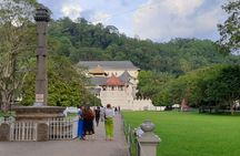 Kandy day tour from Negombo region