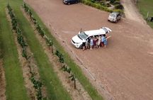 Caloundra tour with driver guide, food and wine tasting