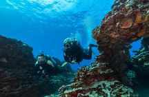 Oahu shallow reefs diving or snorkeling tour