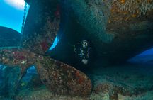 Oahu wreck and reef diving or snorkeling tour