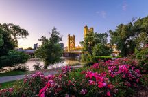 Sacramento's Alive After Five cruise