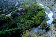 Secret paradise valley half-day guided tour with pickup