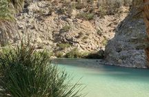 Secret paradise valley half-day guided tour with pickup