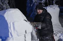 Levi snow sculpting experience