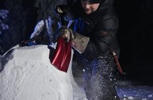 Levi snow sculpting experience