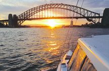 Sunset and sparkle harbor cruise