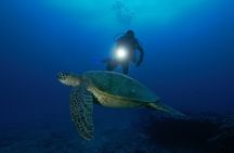 Oahu night diving tour