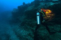 Oahu night diving tour