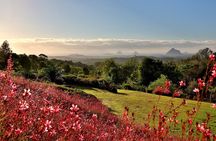 Entrance tickets for Maleny Botanic Gardens and Bird World