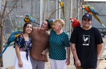 Entrance tickets for Maleny Botanic Gardens and Bird World
