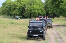 Wilpattu National Park day tour from Negombo region